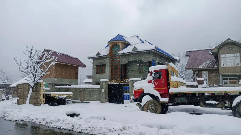 Kashmir, Himachal, Uttarakhand Likely To Receive Snowfall; Rain Expected In Delhi, UP, Bihar As Cold Wave Continues | Check Forecast