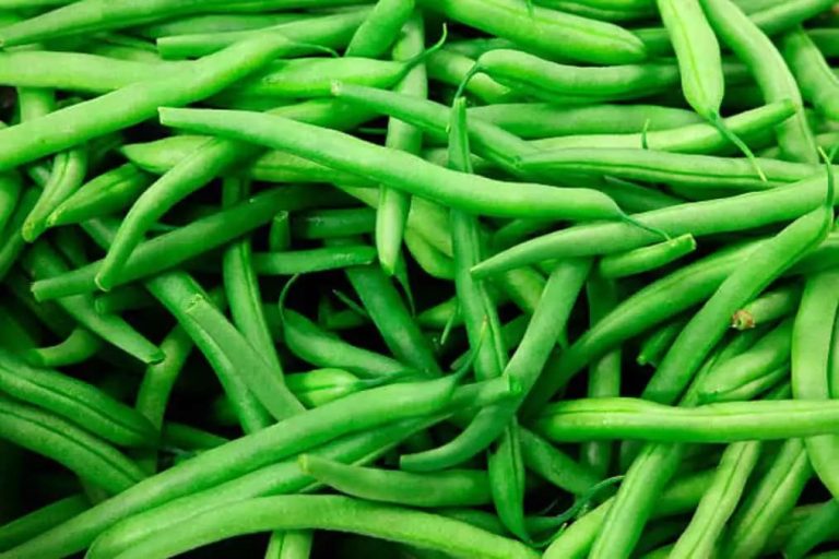 Cowpea To Cluster: 8 Varieties Of Green Beans Found In India