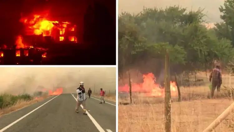 Chile declares state of emergency as forest fires leave at least 51 dead