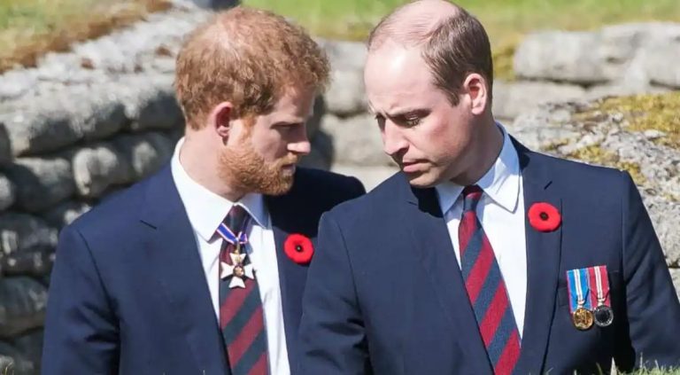 Harry And William’s dispute pre-dates Meghan Markle’s arrival in family, claim insiders