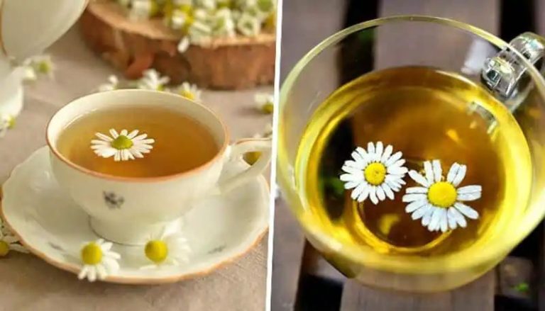 Sleep aid to Menstrual pain relief: 7 benefits of Chamomile tea