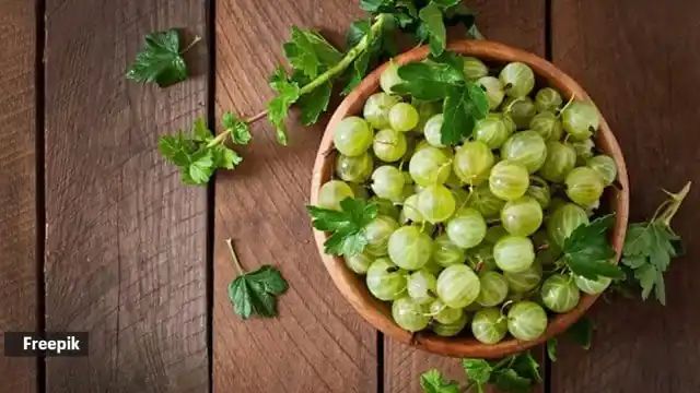 Experts on whether Sadhguru’s amla-honey-black pepper combination for boosting immunity works