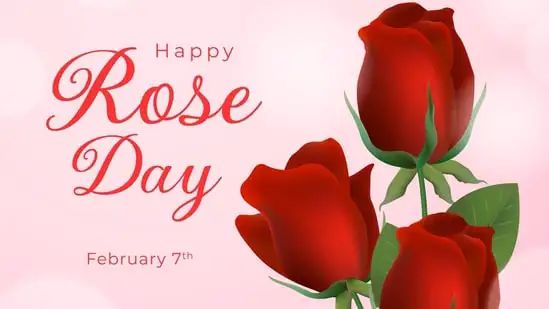 Rose Day 2024: Why do we celebrate this day? Check out date, history and significance