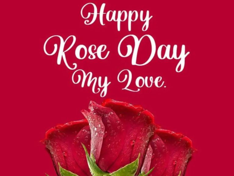 Rose Day captions for Instagram and FB: Short and funny Rose Day captions for husband, wife, GF and BF