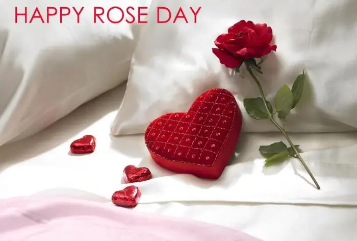 Happy Rose Day 2024: 15 Romantic Quotes, Wishes, WhatsApp Messages to Share With Your Loved Ones