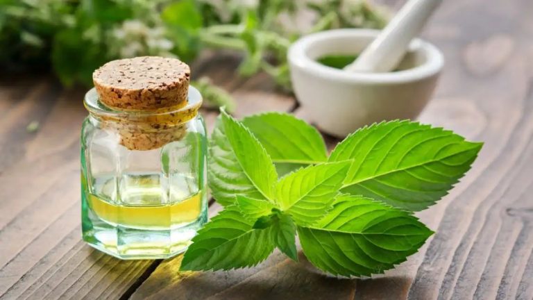 5 Benefits Of Adding Mint Leaves To Your Diet