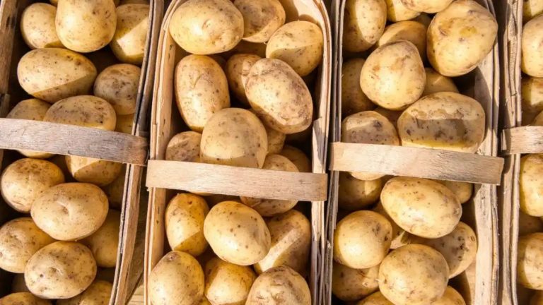 Potato For Skin: How This Magical Ingredient Can Help You Get Rid Of Your Skin-Related Woes