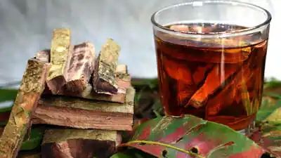 Arjuna Bark Tea: Expert Lists Its Benefits For Lowering Cholesterol Levels