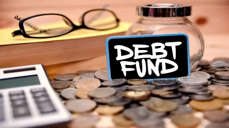 Debt mutual fund inflows surge in January: Is it the right time to invest?