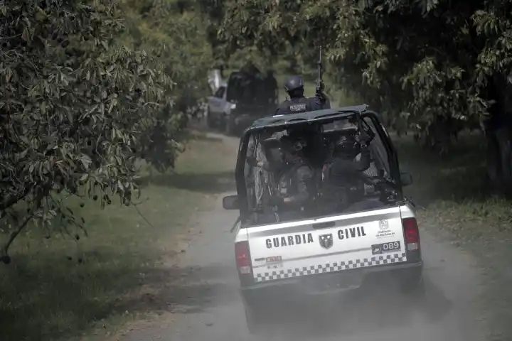 Violence escalates in Mexico’s avocado growing region ahead of Super Bowl guacamole demand