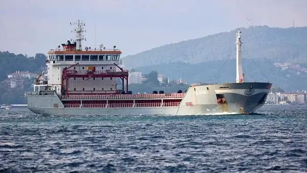 Turkey searches for missing crew after cargo ship sinks, state media reports