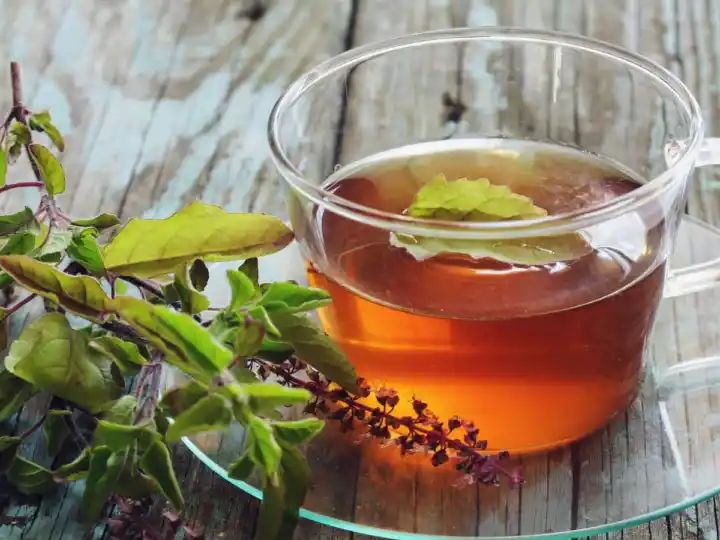 Tulsi Leaves For Lowering Cholesterol: 7 Ways Drinking Tulsi Tea Can Help Manage High Cholesterol Symptoms