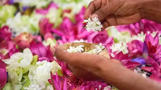 Mahashivratri 2024: To Get Bholenath’s Blessings Offer Him These Flowers During Worship