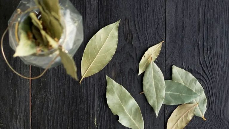 5 Effective Benefits Of Drinking One Glass Of Bay Leaf Water On An Empty Stomach