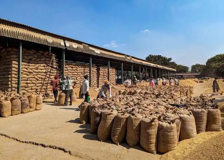 Exclusive-Vietnam imports husked brown rice from India for re-exports, sources say