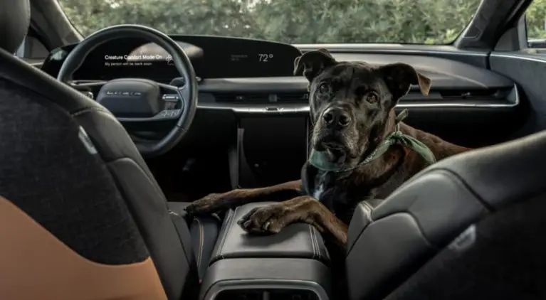 Lucid Introduces ‘Creature Comfort Mode’ To Rival Tesla’s ‘Dog Mode’ For Pets