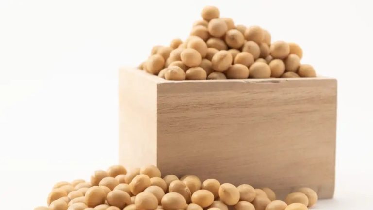 Influencers say soybean serum is the vegan snail mucin. What do experts say?