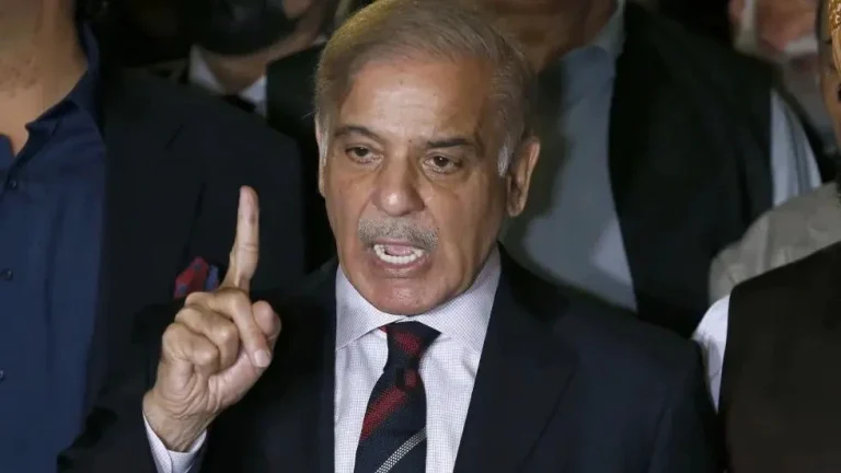 New Pak PM Shehbaz Sharif Rakes Up Kashmir Issue in Maiden Address