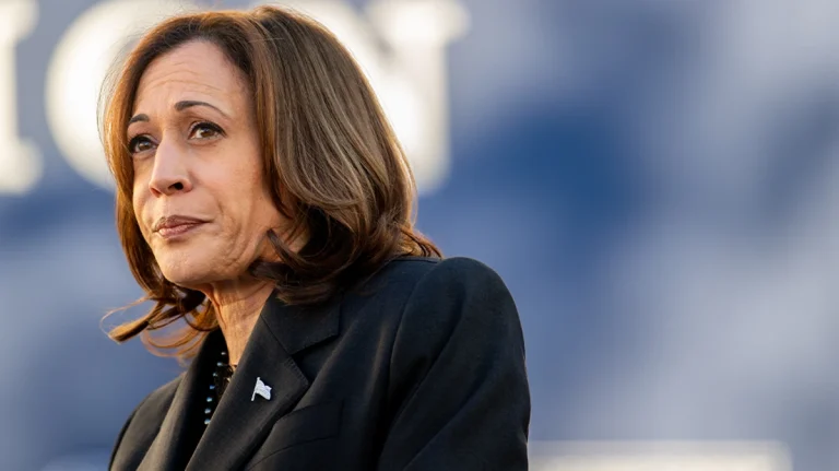 Kamala Harris says there must be an ‘immediate ceasefire’ in Gaza