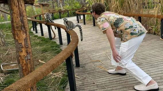 Mark Zuckerberg’s Escapades Into Animal Rescue Centre In Jamnagar, Flaunts Ray Ban Meta Smart Glasses