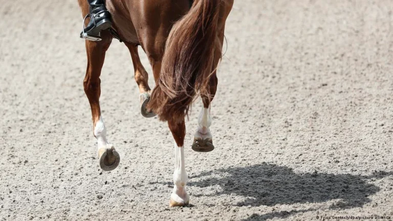 Dressage riders fear for future at Olympics