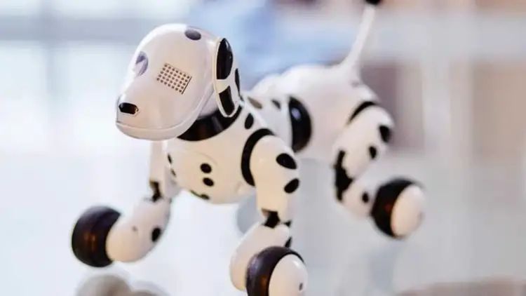 China is making robotic dogs that can shoot. Here’s what it means in a warring world