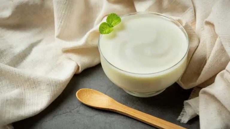 5 Benefits Of Curd That Make It A Perfect Accompaniment