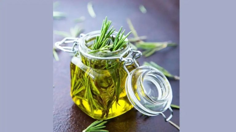 Make powerful Rosemary Oil for hair growth at home [Recipe]