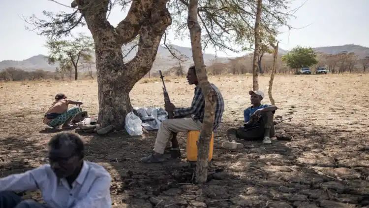 Sudan soon to be ‘world’s largest hunger crisis’: WFP