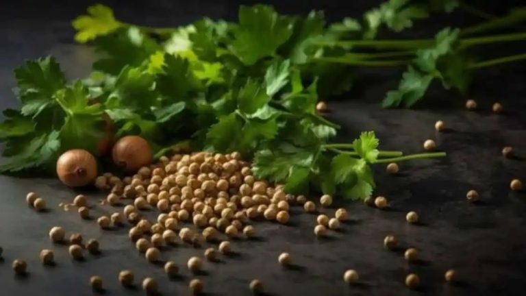 Cilantro And Coriander: Are They The Same?