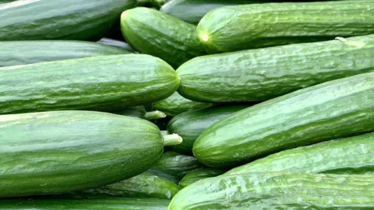 Beat the heat: Why cucumbers are your summertime must-have