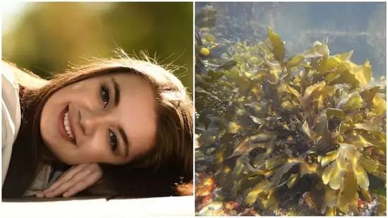 Unlock radiant skin: Discover 4 amazing benefits of seaweed for skin health