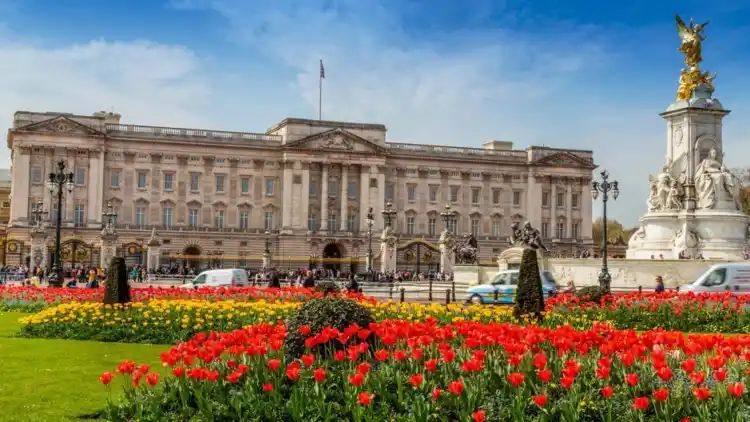 UK: Man Crashes Car Inside Buckingham Palace, Arrested