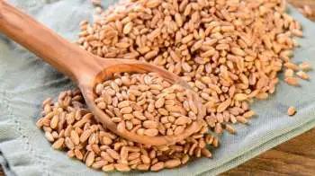 Superfood Farro: Know THESE 5 benefits of this Hulled Wheat