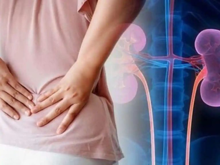 Kidney Damage Symptoms In Men Management Tips: Top 7 Ayurvedic Herbs To Flush Out Toxins From Kidney