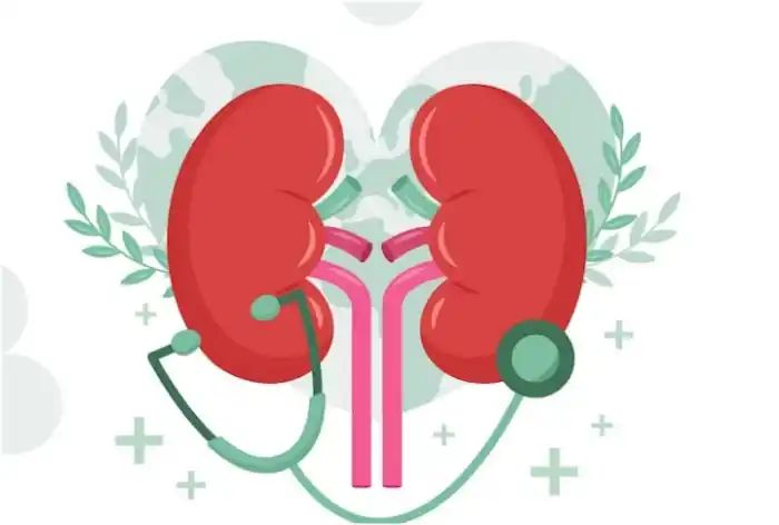 Kidney Failure: 5 Common Myths You Should Stop Believing Right Away