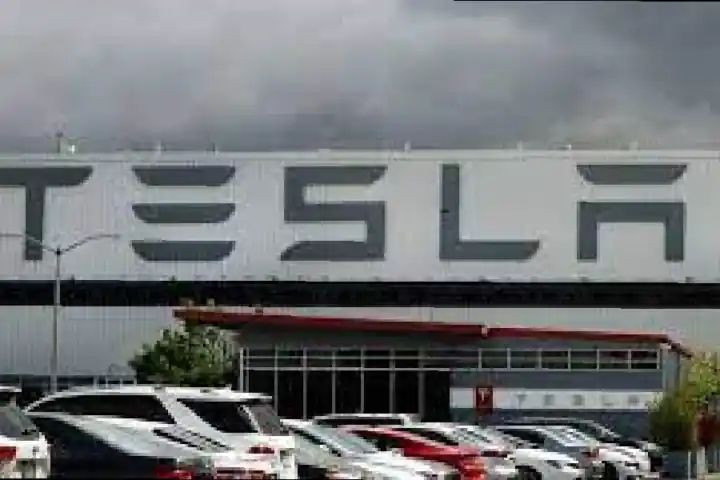 Not trying to tailor a package for anybody’: Tesla bias in EV policy denied