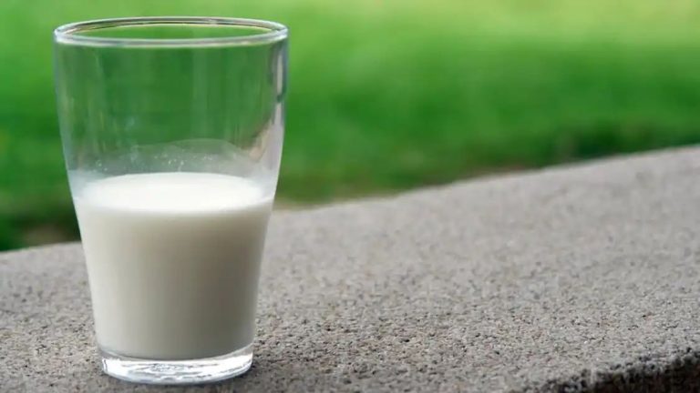 What Is Toddler Milk? Is It Healthy? How Toddler Milk Was Invented? How Does It Compare to Cow’s Milk? FAQs on Toddler Milk Answered