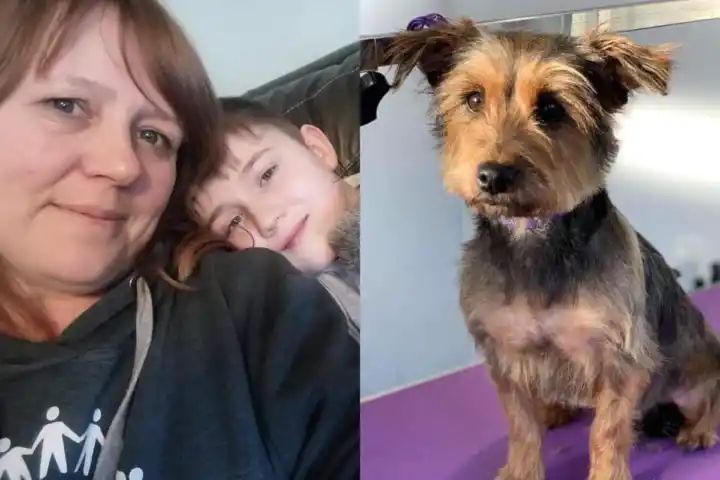 Mum watches in horror as support dog for son with disabilities is killed in savage attack caught on CCTV