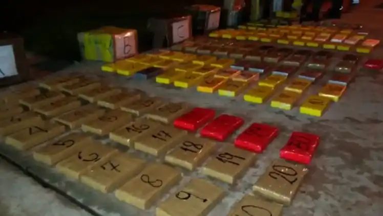 Moment 150kg of cocaine found hidden in lorry transporting wood in Argentina