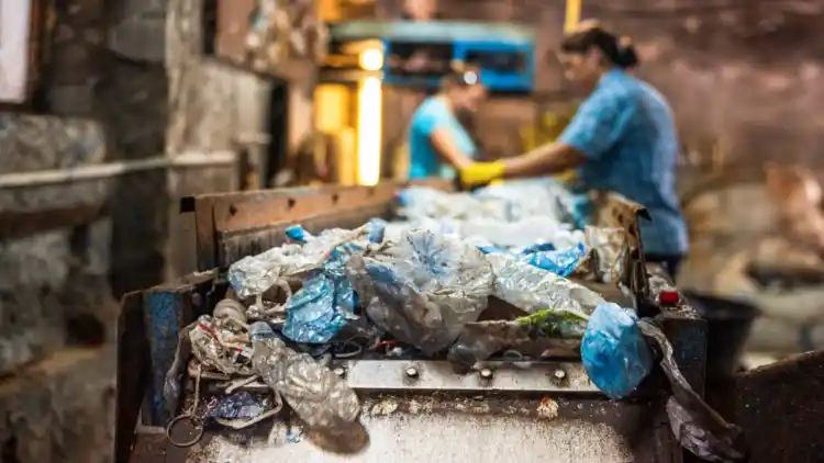 Top career paths in the Recycling Sector