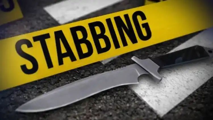 Ludhiana man stabs wife to death in Canada; confesses crime to mother online