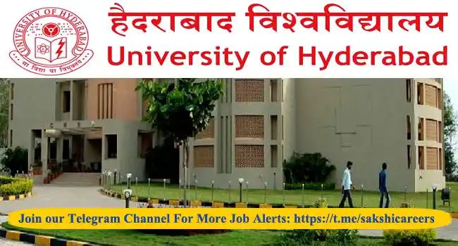 University of Hyderabad Lab Assistant Notification 2024