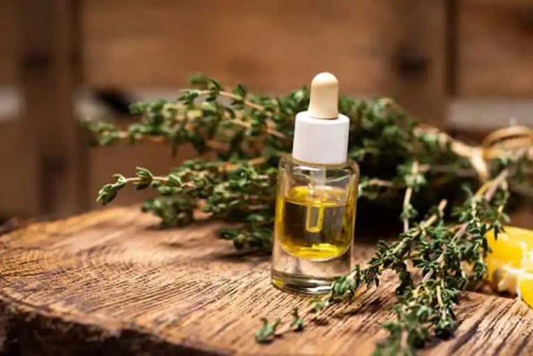 How to use rosemary for long and healthy hair?