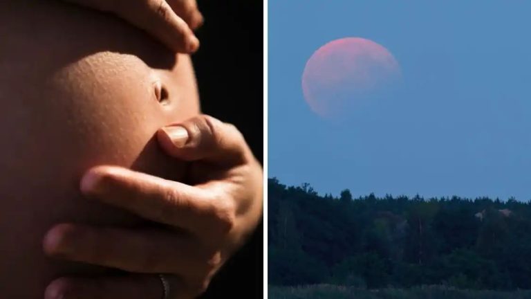 Lunar Eclipse on Holi 2024: What pregnant women should avoid