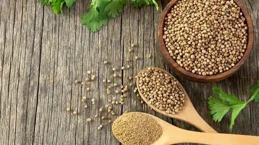 Best Ways To Include Nutrient Rich Coriander In Your Diet