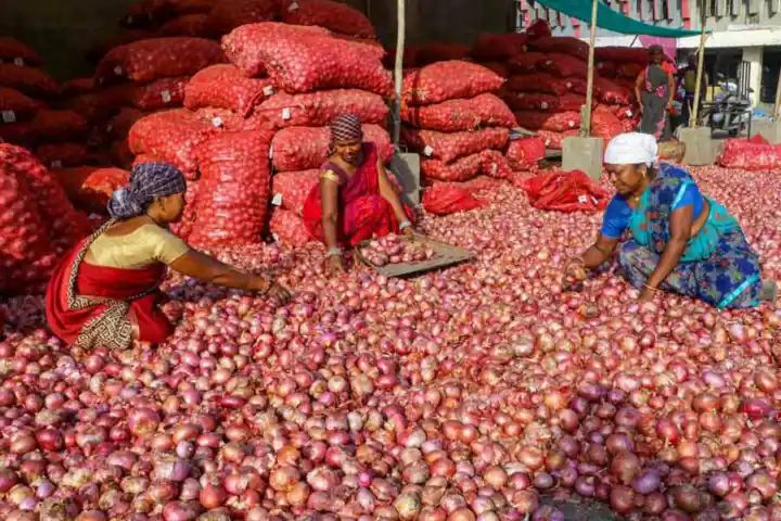 Centre extends ban on onion exports till further orders