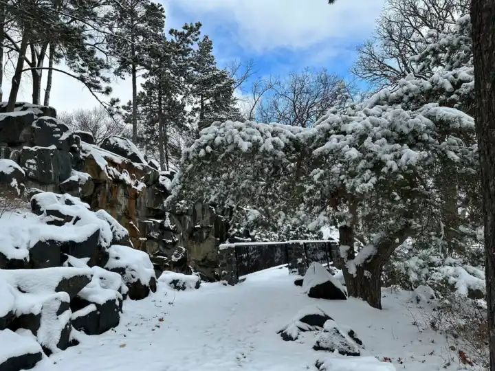 Snowstorm across Midwest and Northern Plains bring blizzard conditions, power outages and travel chaos: Live