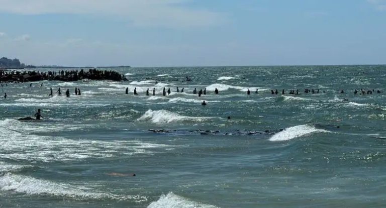 Palestinians drown trying to reach Gaza aid air-dropped by US into sea