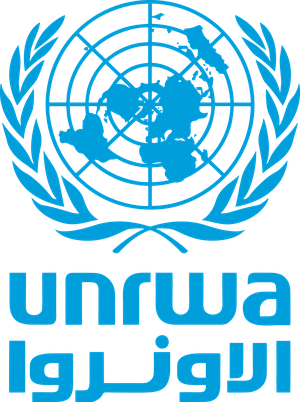 UN backed experts present final report on allegations against UNRWA